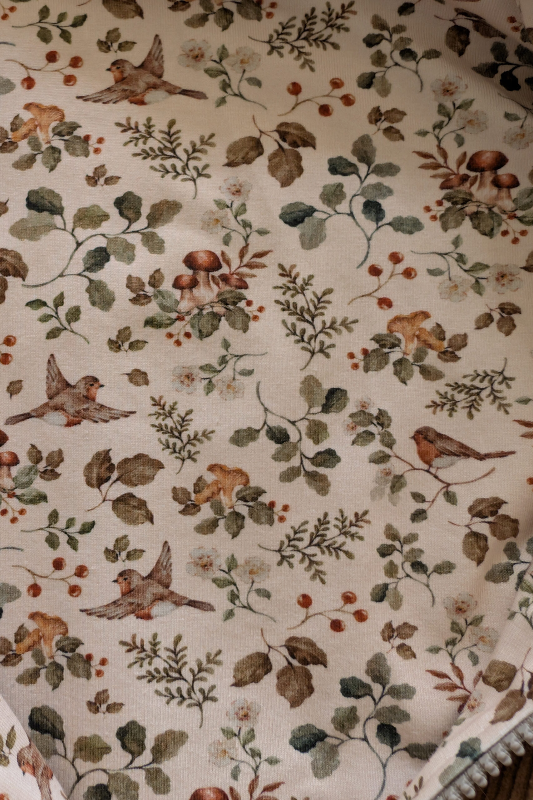 Breitcordjacke Rotkehlchen Gr. 86/92 – Bild 2