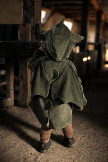 Breitcordjacke furchtloser Drache