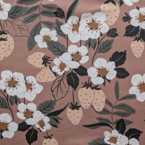 Erdbeeren (bio)